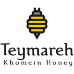 Teymareh Logo