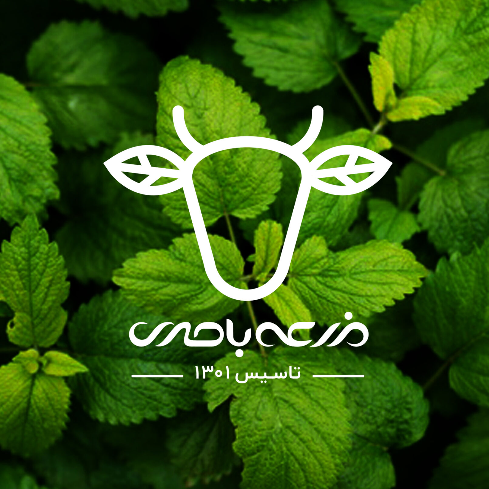 Baseri Farm Yogurt Drink Package Design 03