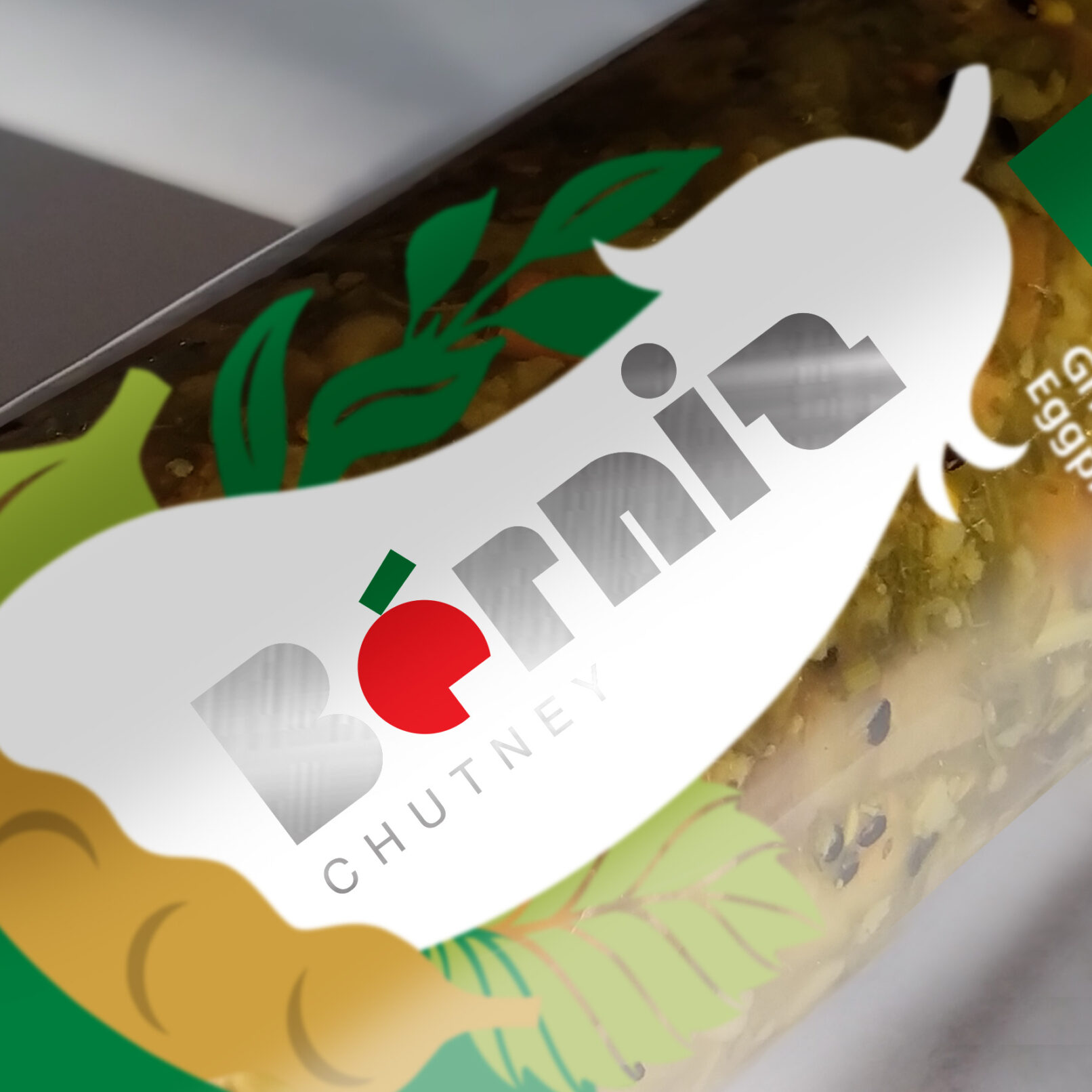 Berniz Logo Design 01