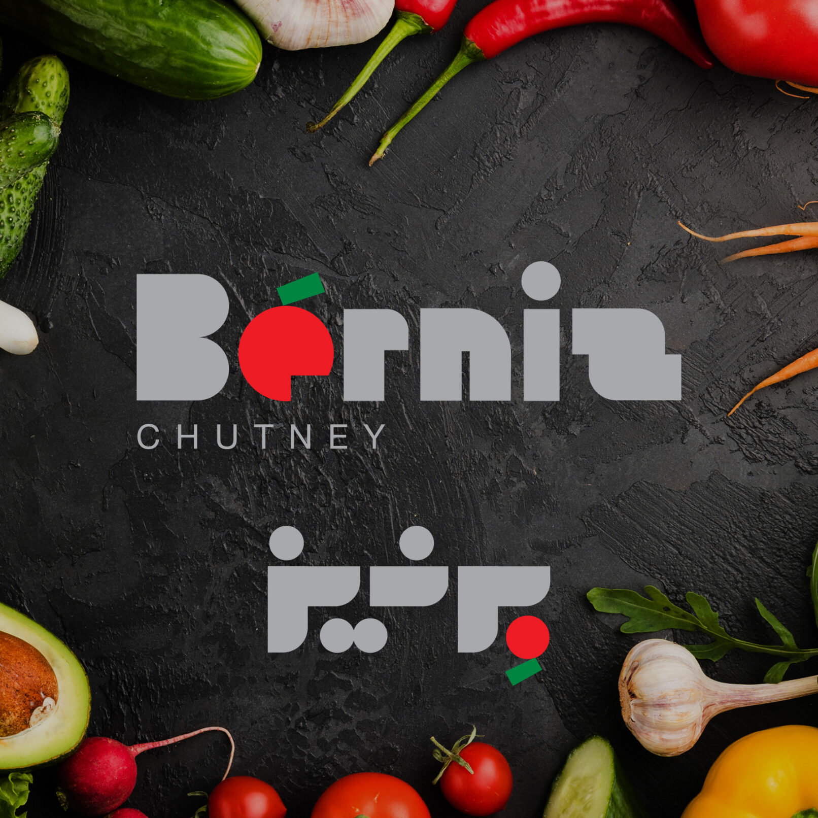 Berniz Logo Design 02