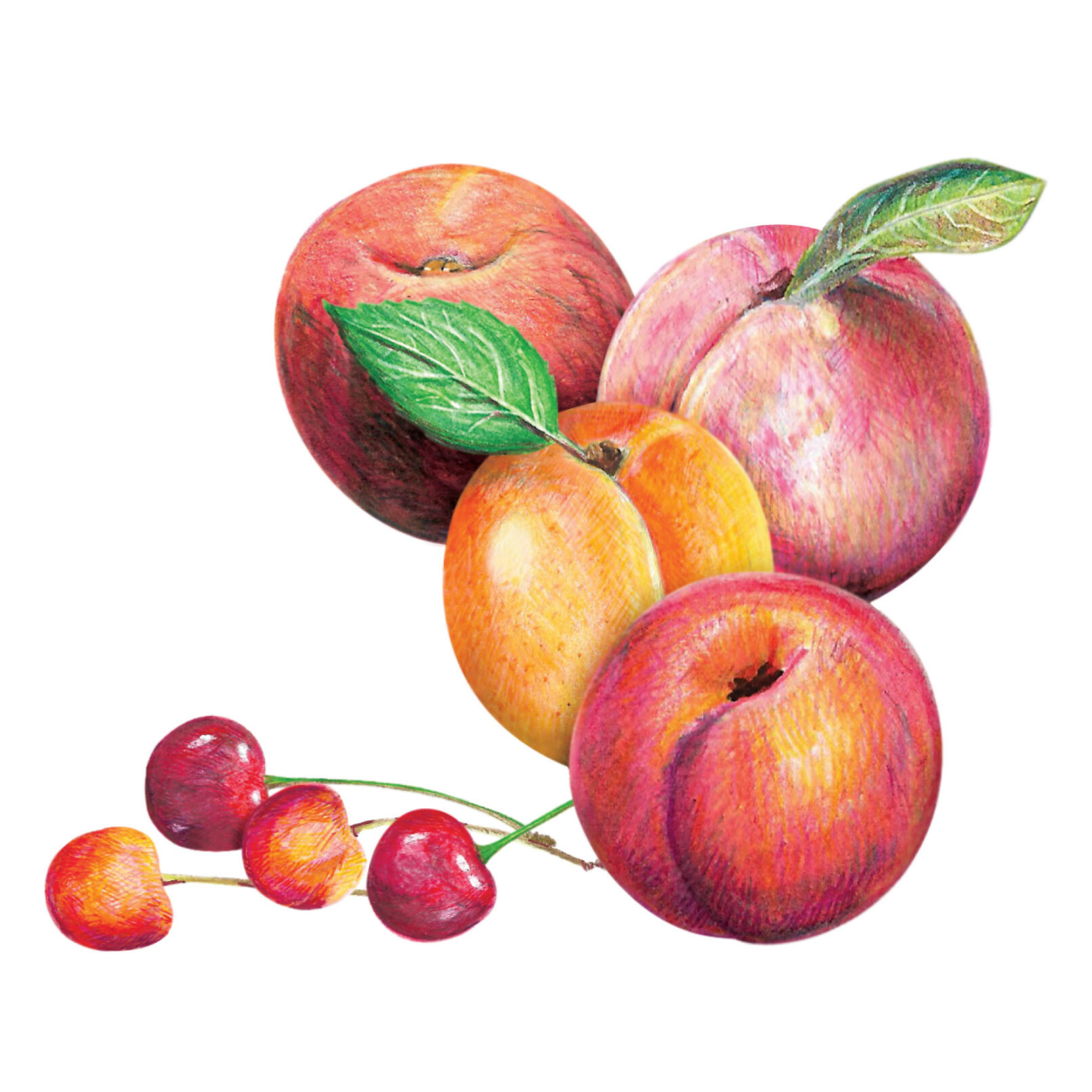 Rad Fresh Fruits Label Design 4