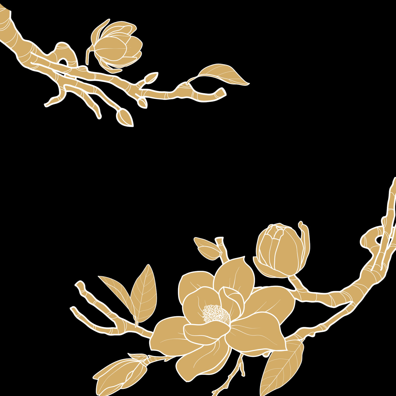 Teymareh Honey Label Design 3